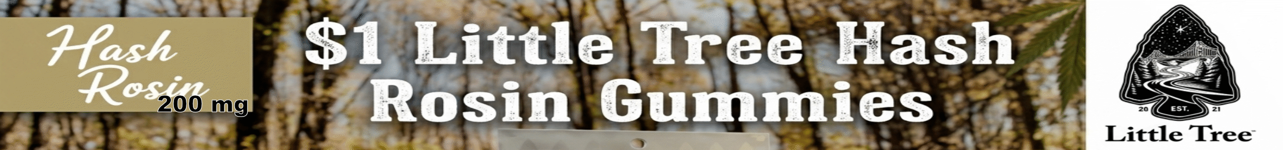 one dollar little tree hash rosin gummies 200mg